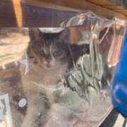 ヒメ日記 2026/03/25 08:17 投稿 らん Felice(フェリス)