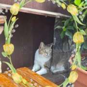 ヒメ日記 2026/05/02 07:58 投稿 らん Felice(フェリス)