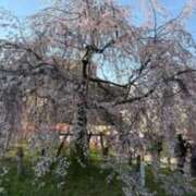 あかり 19時から 東京アロマスタイル