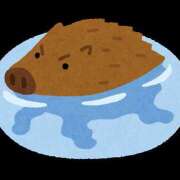 ヒメ日記 2025/04/29 15:00 投稿 しゅな 世界のあんぷり亭 新宿総本店