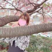 ヒメ日記 2025/03/18 16:54 投稿 えりこ 綺麗なお姉様専門　新横浜リング4C（アンジェリークグループ）