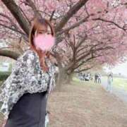 ヒメ日記 2025/03/28 23:14 投稿 えりこ 綺麗なお姉様専門　新横浜リング4C（アンジェリークグループ）