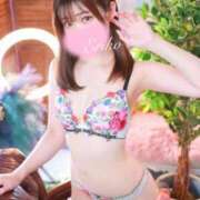 ヒメ日記 2025/11/05 12:25 投稿 えりこ 綺麗なお姉様専門　新横浜リング4C（アンジェリークグループ）