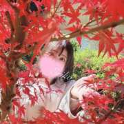 ヒメ日記 2025/11/11 16:47 投稿 えりこ 綺麗なお姉様専門　新横浜リング4C（アンジェリークグループ）