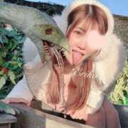 ヒメ日記 2025/11/14 16:41 投稿 えりこ 綺麗なお姉様専門　新横浜リング4C（アンジェリークグループ）