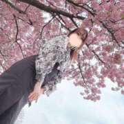 ヒメ日記 2026/04/01 16:54 投稿 えりこ 綺麗なお姉様専門　新横浜リング4C（アンジェリークグループ）