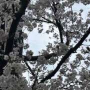 ヒメ日記 2025/03/31 21:30 投稿 みさと 奥様の実話 梅田店