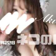 ヒメ日記 2025/02/22 13:11 投稿 あき 夜這専門発情する奥様たち 谷九店