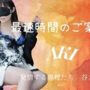 ヒメ日記 2026/03/12 15:41 投稿 あき 夜這専門発情する奥様たち 谷九店