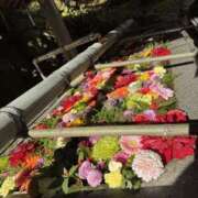 ヒメ日記 2025/01/06 03:35 投稿 ひなの 谷町人妻ゴールデン倶楽部