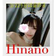 ヒメ日記 2025/02/22 21:25 投稿 ひなの 谷町人妻ゴールデン倶楽部