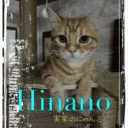 ヒメ日記 2025/02/25 06:00 投稿 ひなの 谷町人妻ゴールデン倶楽部