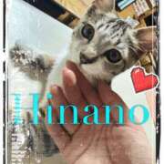 ヒメ日記 2025/08/05 05:55 投稿 ひなの 谷町人妻ゴールデン倶楽部