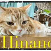 ヒメ日記 2025/08/05 22:30 投稿 ひなの 谷町人妻ゴールデン倶楽部