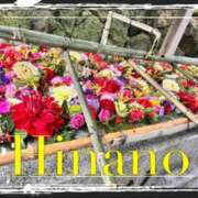 ひなの 1/4 谷町人妻ゴールデン倶楽部