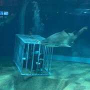 ヒメ日記 2025/03/20 21:20 投稿 あい ミラー