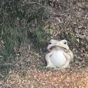 ヒメ日記 2025/03/21 17:00 投稿 あい ミラー