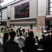 ヒメ日記 2025/04/18 12:17 投稿 あい ミラー