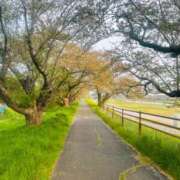 ヒメ日記 2025/04/20 08:45 投稿 あい ミラー