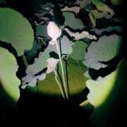 ヒメ日記 2025/07/21 23:19 投稿 あい ミラー