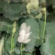 ヒメ日記 2025/08/01 19:34 投稿 あい ミラー