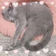 ヒメ日記 2025/08/14 14:41 投稿 あい ミラー