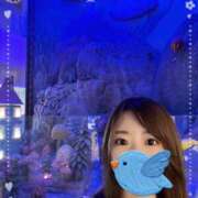 ヒメ日記 2025/11/14 18:45 投稿 あい ミラー