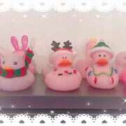 ヒメ日記 2025/12/10 15:48 投稿 あい ミラー