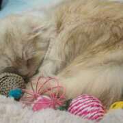 ヒメ日記 2026/01/28 12:03 投稿 あい ミラー