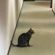 ヒメ日記 2026/02/10 11:40 投稿 あい ミラー