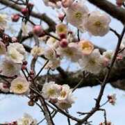 あい マイブーム ミラー