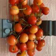 ヒメ日記 2025/06/27 12:42 投稿 北乃翼 五十路マダム 岐阜店