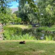 ヒメ日記 2024/12/20 07:15 投稿 小林 えり 30代40代50代と遊ぶなら博多人妻専科24時