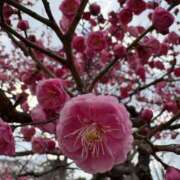 ヒメ日記 2025/03/16 07:15 投稿 小林 えり 30代40代50代と遊ぶなら博多人妻専科24時