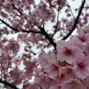 ヒメ日記 2025/03/18 09:30 投稿 小林 えり 30代40代50代と遊ぶなら博多人妻専科24時