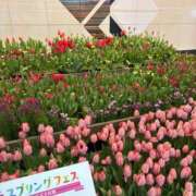 ヒメ日記 2025/03/22 07:15 投稿 小林 えり 30代40代50代と遊ぶなら博多人妻専科24時