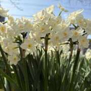 ヒメ日記 2025/03/28 07:15 投稿 小林 えり 30代40代50代と遊ぶなら博多人妻専科24時