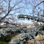 ヒメ日記 2025/03/29 17:30 投稿 小林 えり 30代40代50代と遊ぶなら博多人妻専科24時