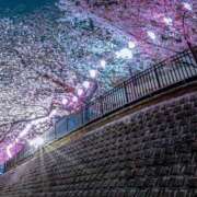 ヒメ日記 2025/04/30 07:15 投稿 小林 えり 30代40代50代と遊ぶなら博多人妻専科24時