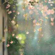 ヒメ日記 2025/05/17 07:15 投稿 小林 えり 30代40代50代と遊ぶなら博多人妻専科24時