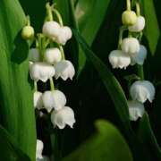 ヒメ日記 2025/06/01 07:15 投稿 小林 えり 30代40代50代と遊ぶなら博多人妻専科24時