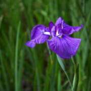 ヒメ日記 2025/06/02 07:15 投稿 小林 えり 30代40代50代と遊ぶなら博多人妻専科24時