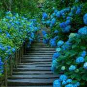 ヒメ日記 2025/06/07 07:15 投稿 小林 えり 30代40代50代と遊ぶなら博多人妻専科24時