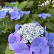 ヒメ日記 2025/06/08 07:15 投稿 小林 えり 30代40代50代と遊ぶなら博多人妻専科24時