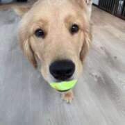 ヒメ日記 2025/06/27 07:15 投稿 小林 えり 30代40代50代と遊ぶなら博多人妻専科24時