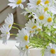 ヒメ日記 2025/06/30 21:00 投稿 小林 えり 30代40代50代と遊ぶなら博多人妻専科24時