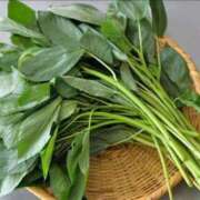 ヒメ日記 2025/07/26 07:15 投稿 小林 えり 30代40代50代と遊ぶなら博多人妻専科24時