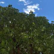 ヒメ日記 2025/07/28 07:15 投稿 小林 えり 30代40代50代と遊ぶなら博多人妻専科24時