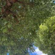 ヒメ日記 2025/08/01 07:15 投稿 小林 えり 30代40代50代と遊ぶなら博多人妻専科24時