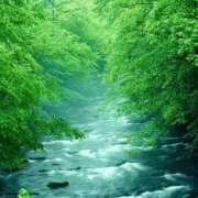 ヒメ日記 2025/08/12 07:15 投稿 小林 えり 30代40代50代と遊ぶなら博多人妻専科24時